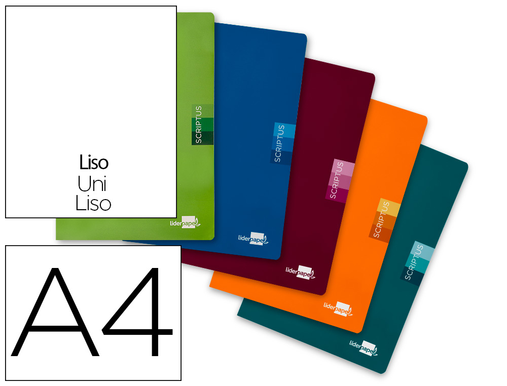 CADERNO AGRAFADO LIDERPAPEL SCRIPTUS DIN A4 48 F LISA SEM MARGEM CORES SORTIDAS PAPEL 90 GR
