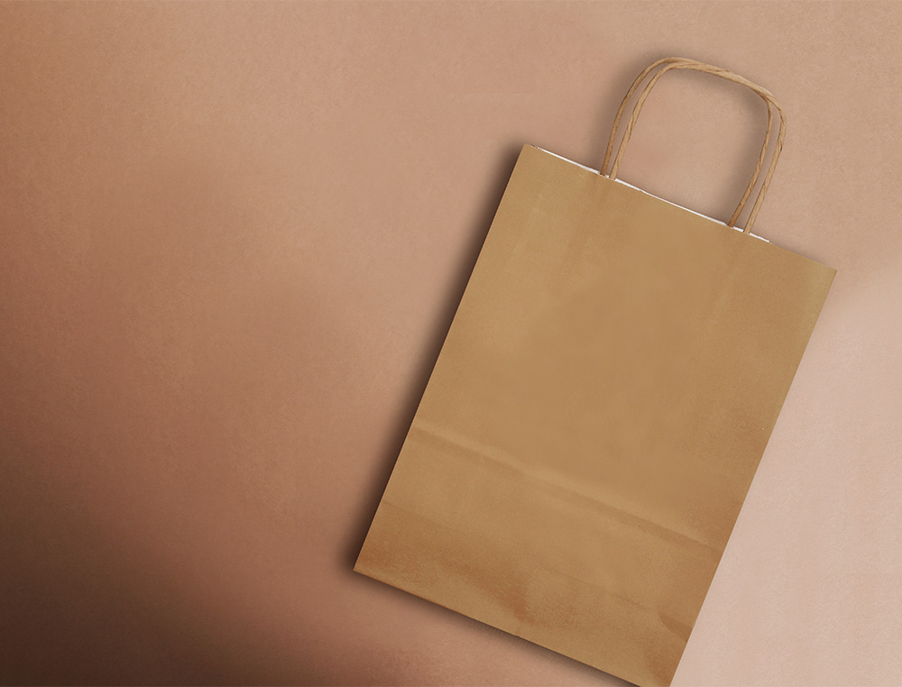 SACO DE PAPEL Q-CONNECT KRAFT NATURAL LISO L COM ASA TORCIDA 320X400X14 MM