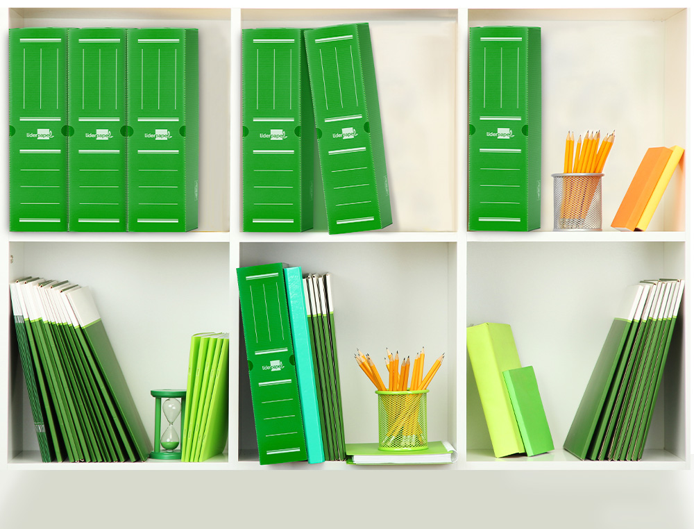 CAIXA PARA ARQUIVO MORTO LIDERPAPEL EM POLIPROPILENO VERDE FORMATO 360X260X100 MM