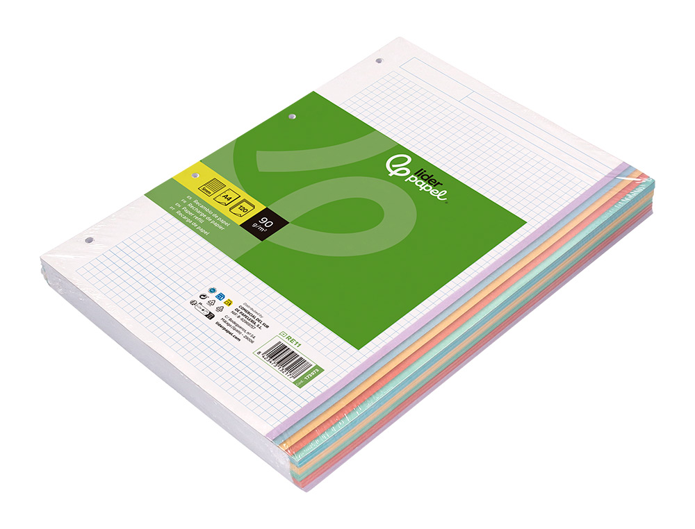 RECARGA LIDERPAPEL A4 120 FOLHAS 90 GR QUADRICULA 5 MM 4 FUROS BANDAS DE 5 CORES PASTEL