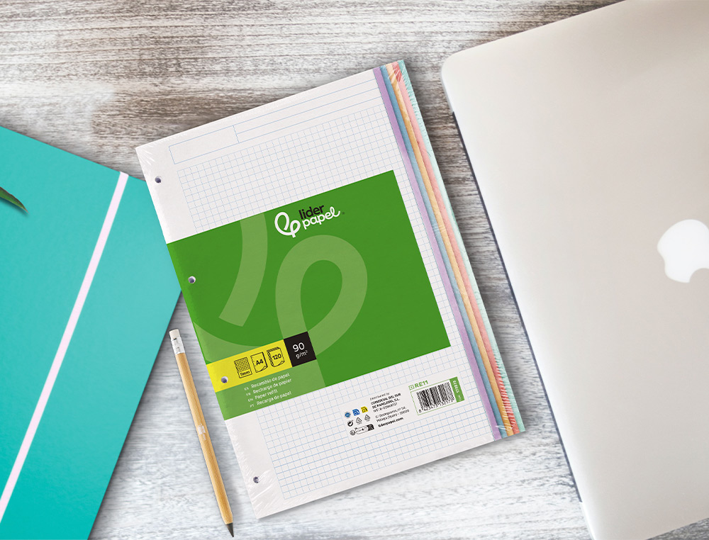 RECARGA LIDERPAPEL A4 120 FOLHAS 90 GR QUADRICULA 5 MM 4 FUROS BANDAS DE 5 CORES PASTEL