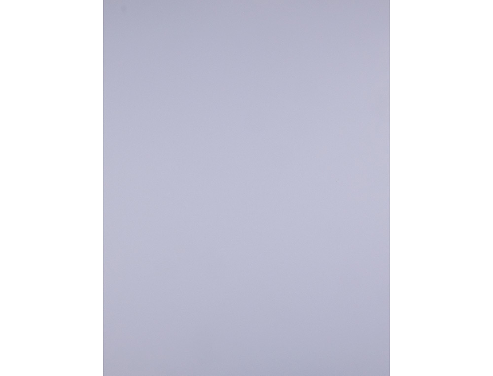 CARTOLINA LIDERPAPEL 50X65 CM 180 GR LILAS