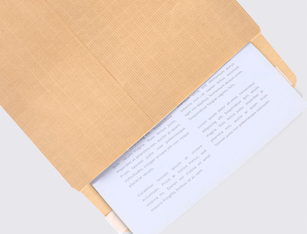ENVELOPE LIDERPAPEL N.7 BOLSA DIN A4 C4 CASTANHO 229X324 MM TIRA DE SILICONE PACK DE 250 UNIDADES