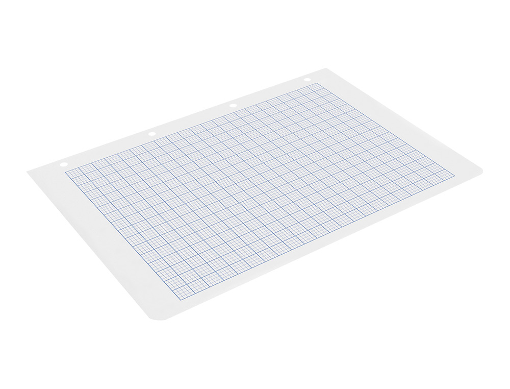 RECAMBIO LIDERPAPEL FOLIO 100 H. RAYADO N 46 4 TALADROS 60 GR.